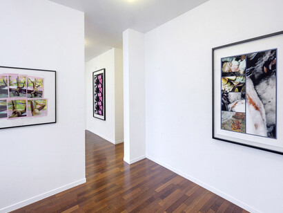 Carolee Schneemann. Courtesy of MFC - Michèle Didier