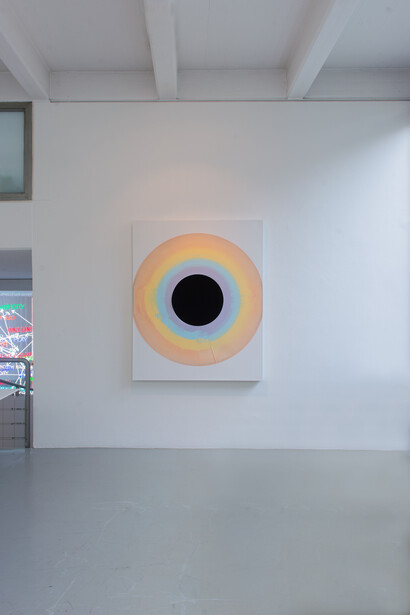 Warren Neidich, installation view. Courtesy of Priska Pasquer