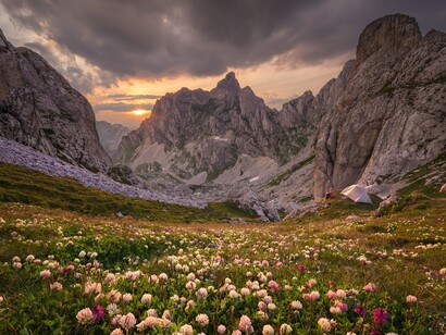 Montenegro. Flores no Parque Nacional de Durmitor