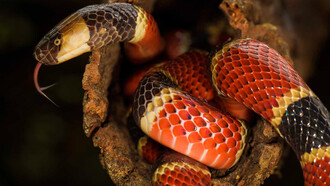 ¿Es posible desmitificar las falsas ilusiones del Estado propietario y del mercado perfecto?