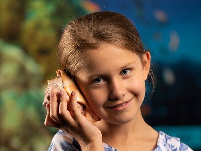 Discover tropical Queensland, exhibition view. Courtesy of Queensland Museum Tropics