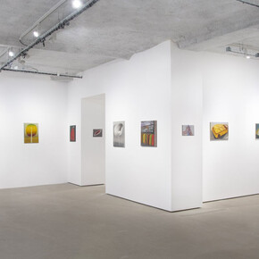 Miriam Cahn, Still leben, exhibition view. Courtesy of Galerie Jocelyn Wolff