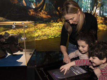 T. rex. Courtesy of American Museum of Natural History