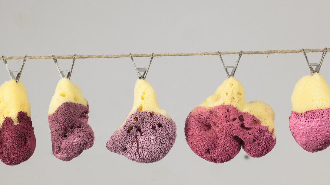 Maria Morganti, Grumi, Venezia, 2013, foto Francesco Allegretto