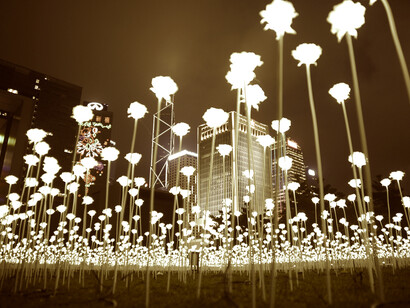 Londres tendrá su propio jardín de rosas de luz esta Navidad