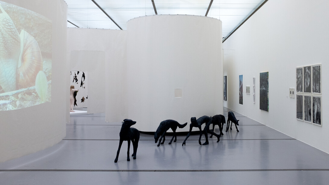 Touch nature, exhibition view. Courtesy of Lentos Kunstmuseum