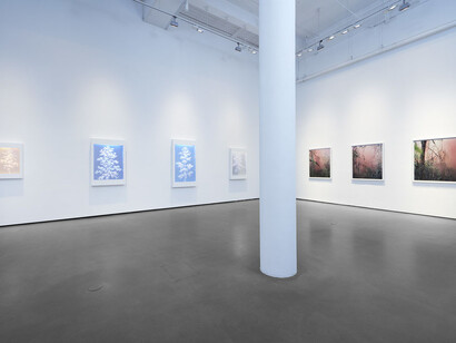 Lustre. Courtesy of Bryce Wolkowitz Gallery