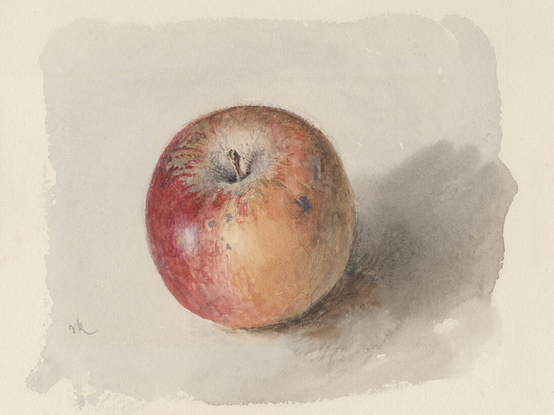John Ruskin, Blenheim Orange Apple c.1873, Watercolour and bodycolour on heavyweight white wove watercolour paper; 11.7 x 16.5 cm (sight), Private collection