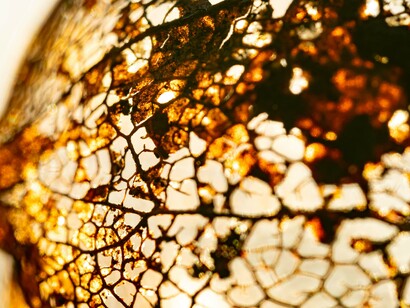 Mattering is what unites diverse aspects of the context into patterns that repeat themselves 
