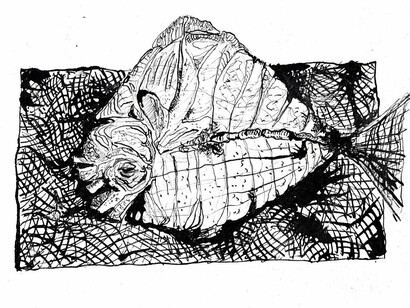 Illustrazione di Vittorio Giacopini