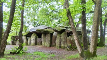 En Bretagne, dans l'ouest de la France, La Roche-aux-Fées est un site mégalithique qui défie le temps