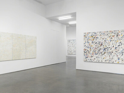 Dashiell Manley. Courtesy of Marianne Boesky Gallery