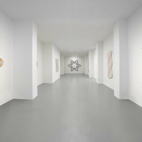 Philippe Decrauzat, Teatro anatomico, exhibition view. Courtesy of Galleria Poggiali