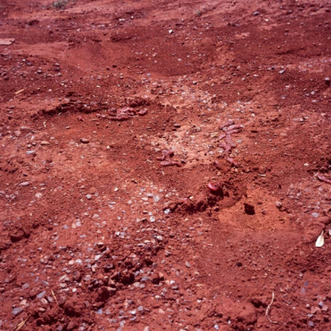 Michael Asbury. Courtesy of Galeria Nara Roesler 