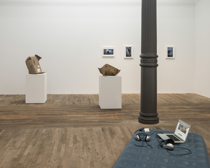Alt-Facts. Courtesy of Postmasters Gallery