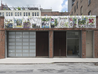 Natalie Jeremijenko, FlowerxFacade, an xClinicFarmacy project to inflorescence the barren urban structures, 2011 Tyvek, soil, polyacrylamide gel; nasturtiums (Tropaeolum majus, T. polyphyllum), day lilies (Hemerocallis lilioasphodelus), visiting urban pollinators