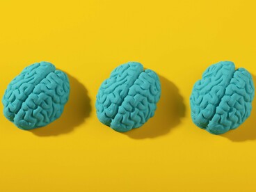 Three human brain models arranged in sequence, representing the influence of gene expression on brain development and function