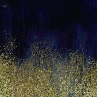 Mayme Kratz, Dark garden 19 (detail), 2025. Courtesy of Gilman Contemporary