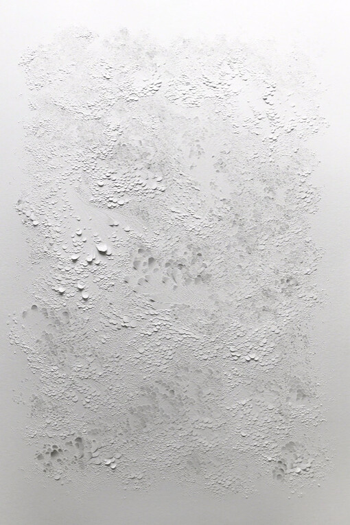Papiers Sculptés #2. Courtesy of Galerie Dutko