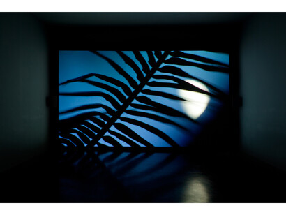 Amar Kanwar, The Scene of Crime, 2011, Colour HD video, Installation view, Courtesy of Amar Kanwar and Marian Goodman Gallery Paris/ New York
