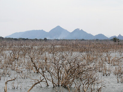 Weheregolla Reservoir viewed from within Yala Block 5 © Gehan de Silva Wijeyeratne