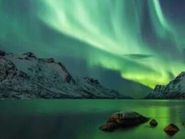  the CIA has made a few thousand pages of documents available for public view