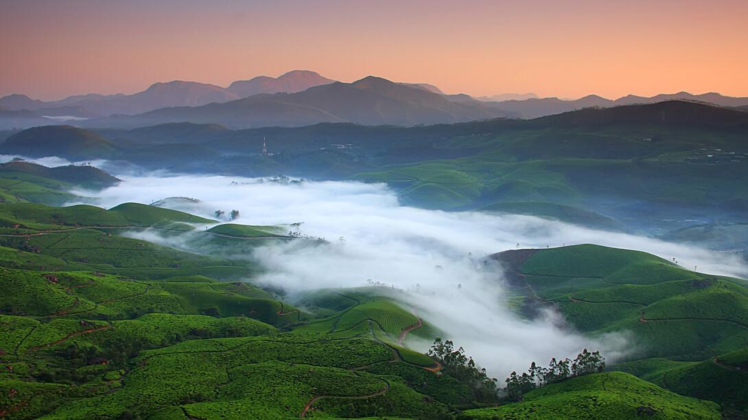 Piantagioni di tè sulle colline del Nepal