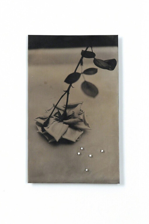 Bettina Speckner. Courtesy of Gallery S O