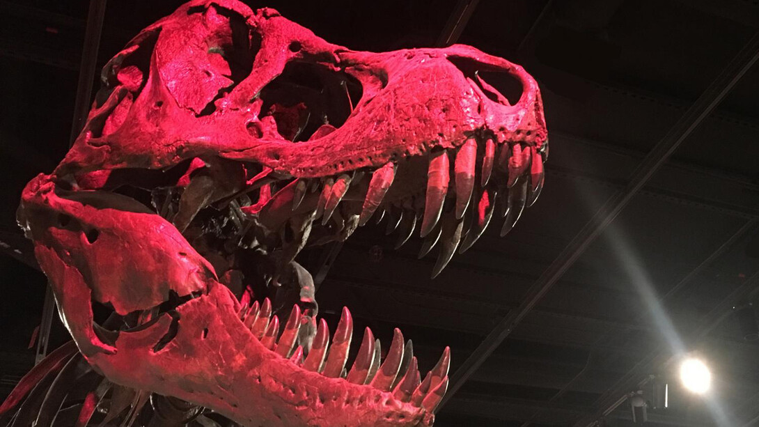 The Last American Dinosaurs. Courtesy of Smithsonian's National Museum of Natural History