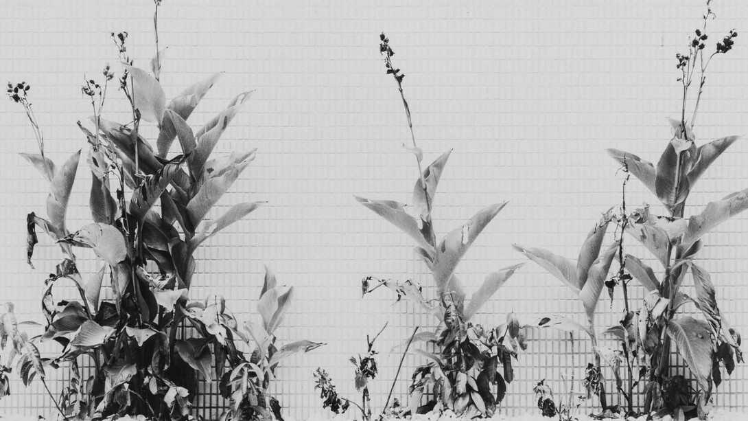 Superquadra I With Frame from the series, 2017 ©Daniel Shea