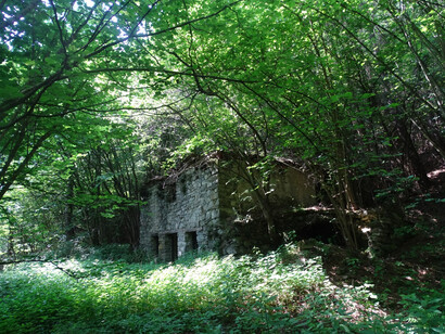 Un rifugio nel bosco