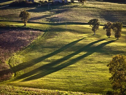 Colline marchigiane