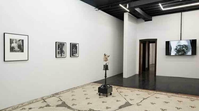 Various artists, Organgrinder, exhibition view. Courtesy of M. LeBlanc