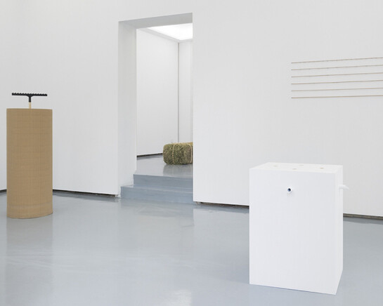 Pablo Accinelli. Courtesy of the Goma