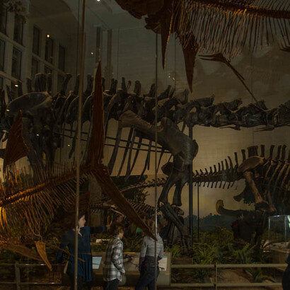 Cretaceous Seaway. Courtesy of Carnegie Museum of Natural History
