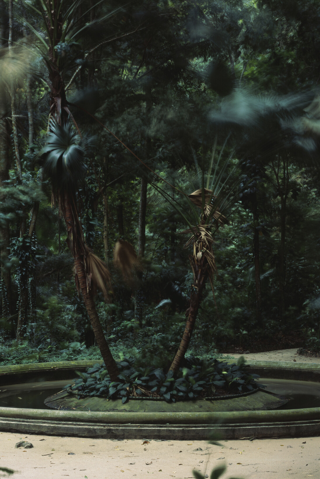 Caio Reisewitz, hausverlassung, 2015, C-print sous Diasec, 180 x 227 cm, Edition : 5 + 2EA, Courtesy Bendana I Pinel Art Contemporain & artiste