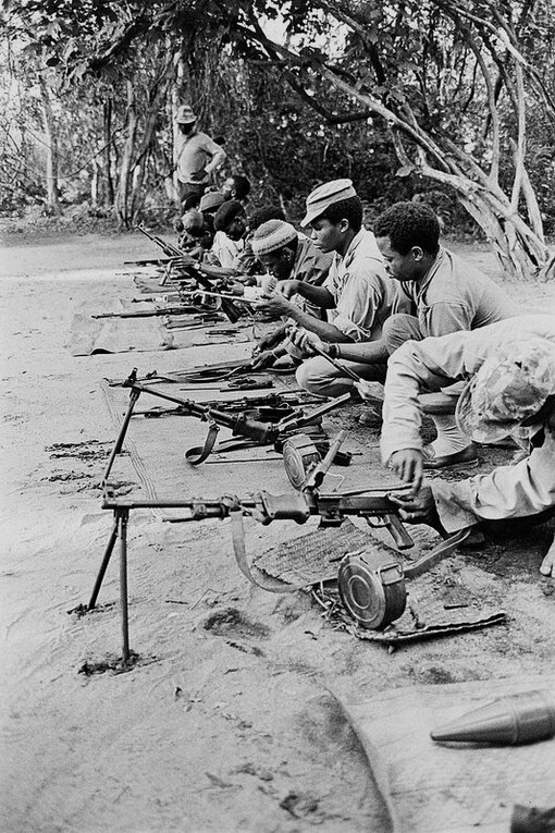 Insurgentes del Frente de Liberación de Mozambique