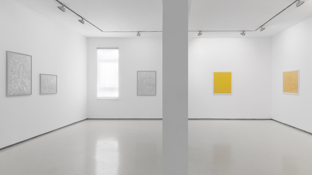 Eyeful, installation view. Courtesy of Noga Gallery 