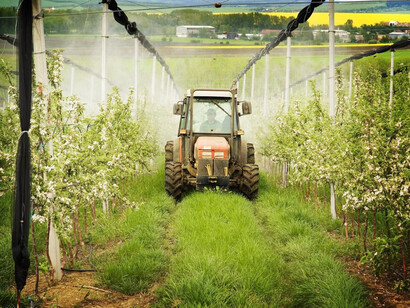Tractor riega el sembradío de un campo de monocultivos transgénicos