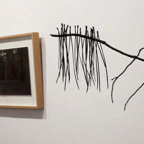 The Gravity of Place. Courtesy of Fifty Dots