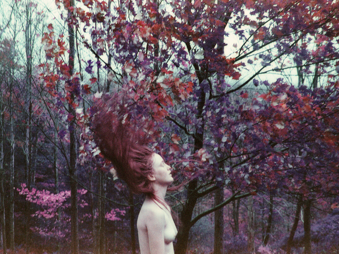 Amanda Charchian, No one knows what to make of the moon anymore