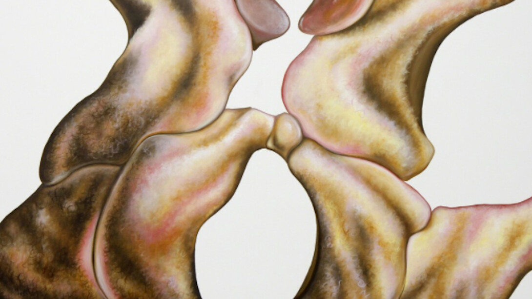 Afterglow. Courtesy of The Front Room