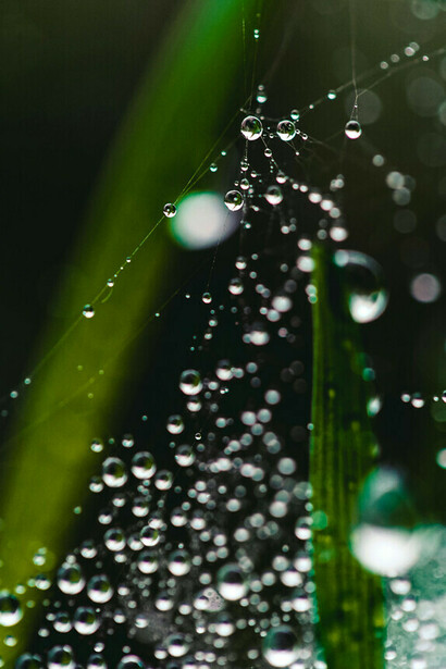 Il cambiamento climatico e l’aumento della popolazione stanno facendo sì che le risorse idriche a nostra disposizione si stiano esaurendo