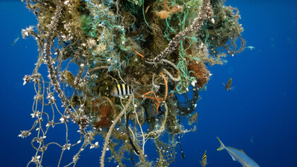 A partial underwater view with sea life surrounding it, of the Great Pacific Garbage Patch/Gyre, located between California and Hawaii, photo by Justin Hofman at Greenpeace
