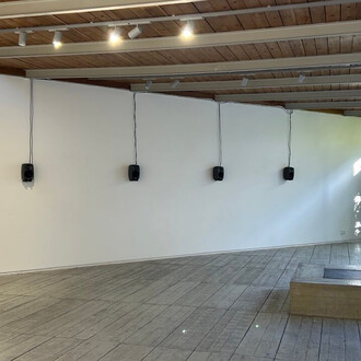 Diogo Alvim, Solo, vista da exposição. Cortesão da Galeria Diferença