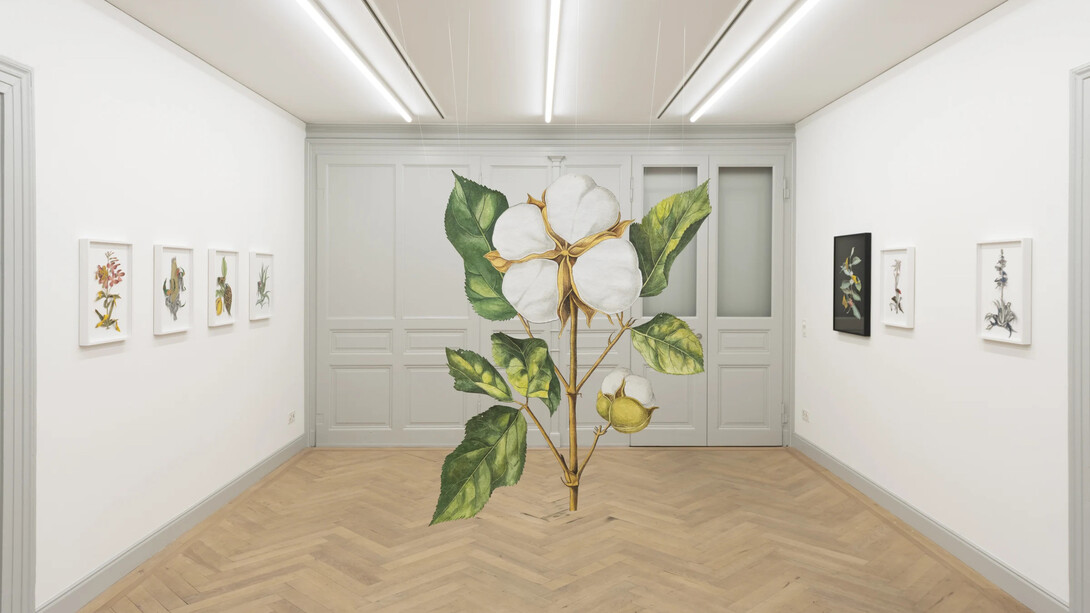 Ishita Chakraborty, I recall the forest inside me, exhibition view. Courtesy of Galerie Peter Kilchmann