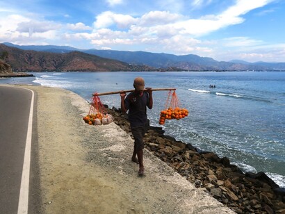 Camminando lungo la costa