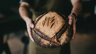 Alle basi dell'alimentazione