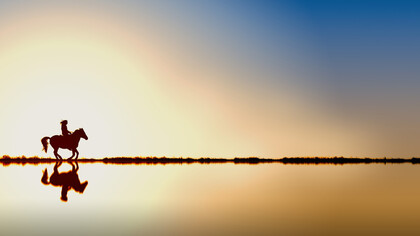 La libertà è un concetto innato per la coscienza umana 