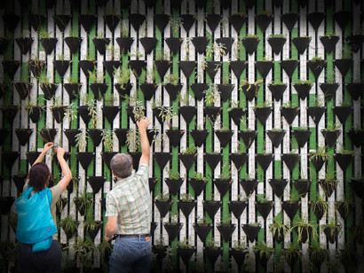 Many planters with small plants line the wall, making growing easier and efficient in small spaces